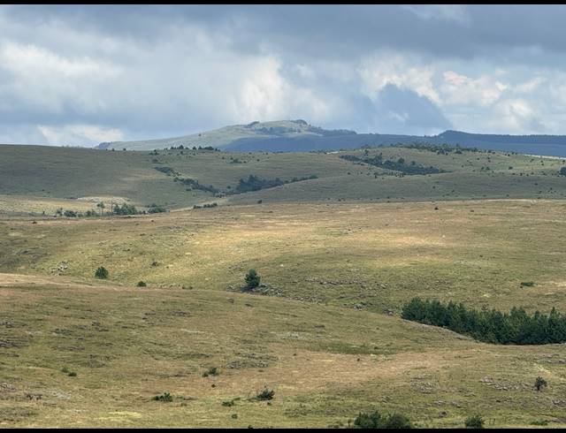 1,730HA FARM FOR SALE IN DARGLE